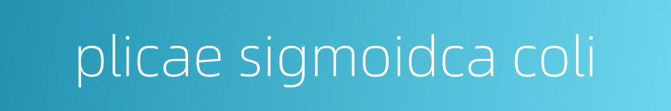 plicae sigmoidca coli的同义词