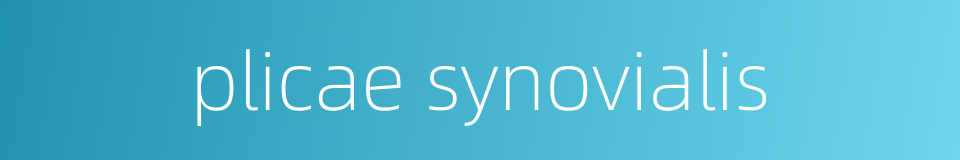 plicae synovialis的同义词