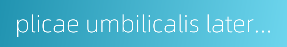 plicae umbilicalis lateralis的同义词