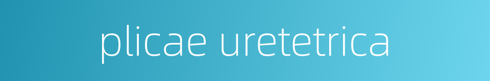 plicae uretetrica的同义词