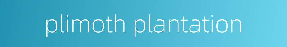 plimoth plantation的同义词