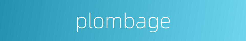 plombage的同义词
