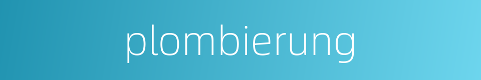plombierung的同义词