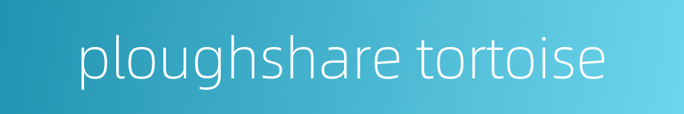 ploughshare tortoise的同义词