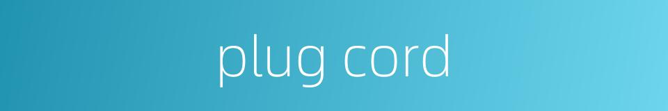 plug cord的同义词