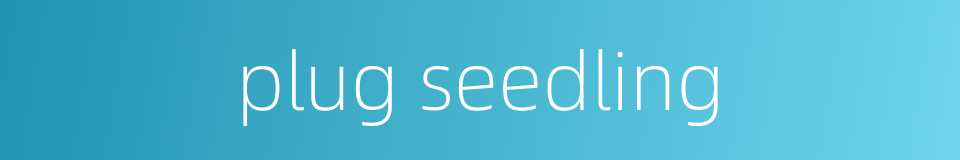 plug seedling的同义词