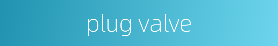 plug valve的同义词