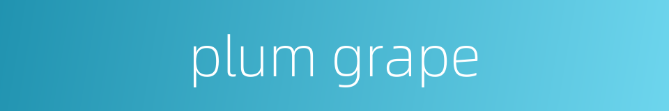 plum grape的同义词