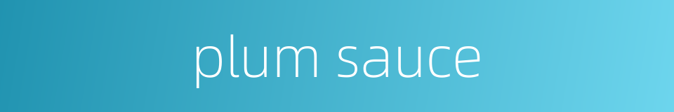 plum sauce的同义词