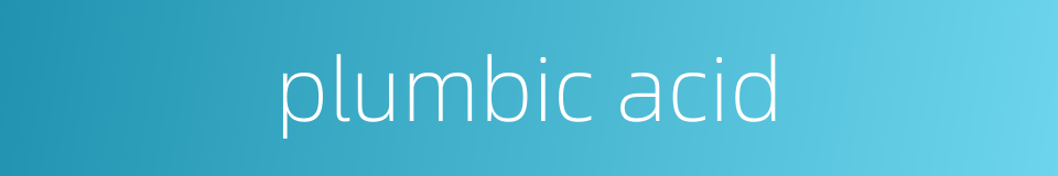 plumbic acid的同义词