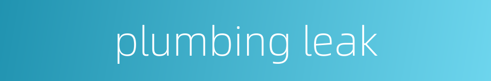 plumbing leak的同义词