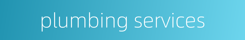plumbing services的同义词