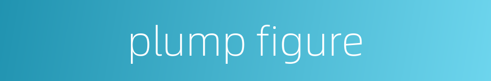 plump figure的同义词