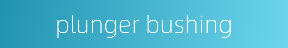 plunger bushing的同义词