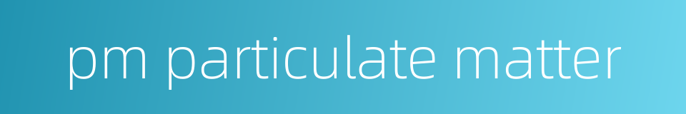 pm particulate matter的同义词
