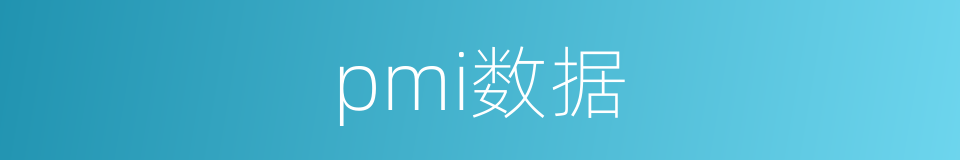 pmi数据的同义词