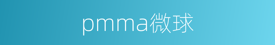 pmma微球的同义词