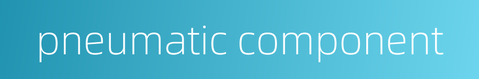 pneumatic component的同义词