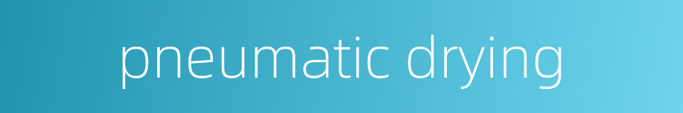 pneumatic drying的同义词