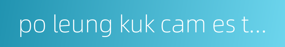 po leung kuk cam es tan siu lin primary school的同义词