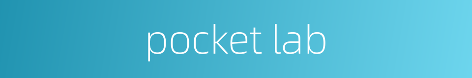 pocket lab的同义词