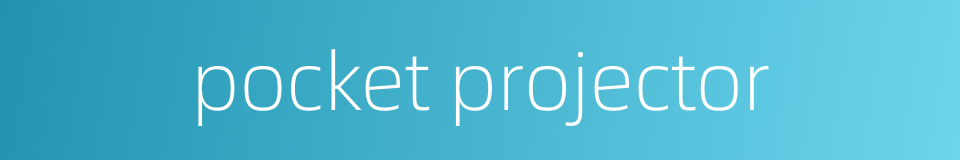 pocket projector的同义词