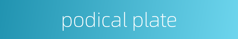 podical plate的同义词