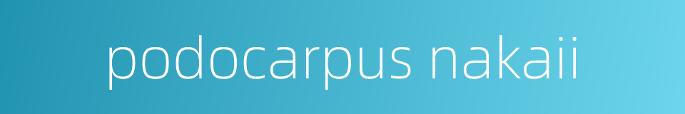 podocarpus nakaii的同义词