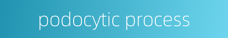 podocytic process的同义词