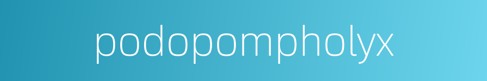 podopompholyx的同义词