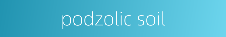 podzolic soil的同义词