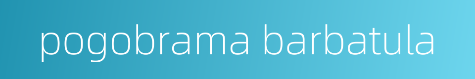 pogobrama barbatula的同义词
