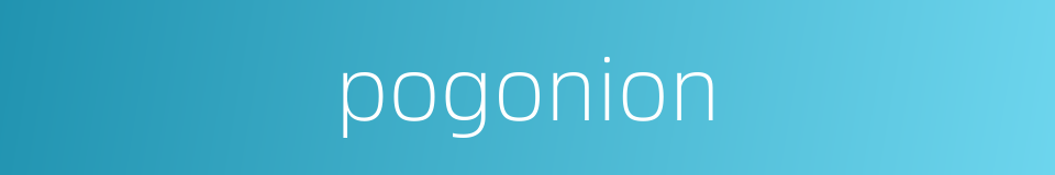 pogonion的同义词