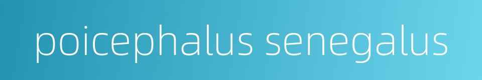 poicephalus senegalus的同义词