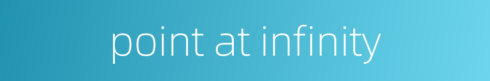 point at infinity的同义词