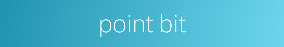 point bit的同义词