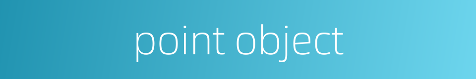 point object的同义词