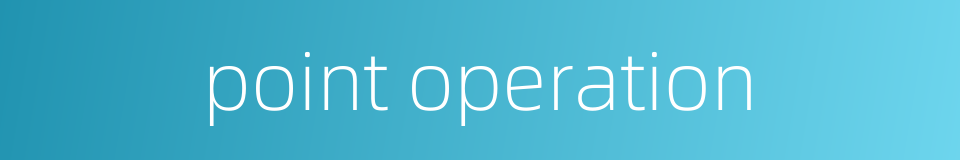 point operation的同义词