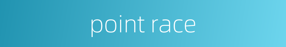point race的同义词