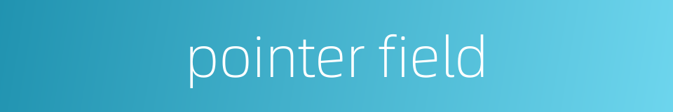 pointer field的同义词