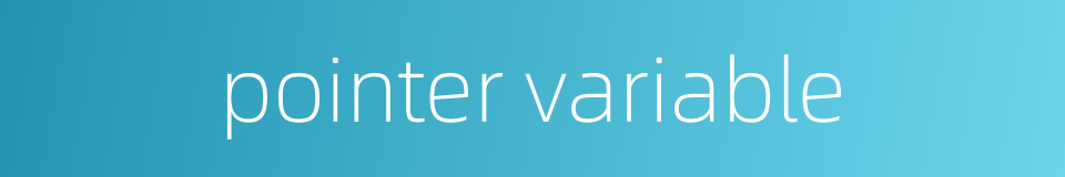 pointer variable的同义词
