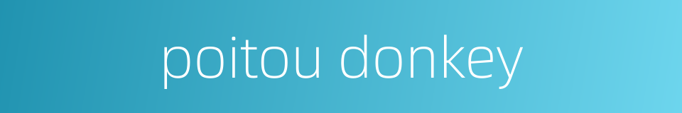 poitou donkey的同义词