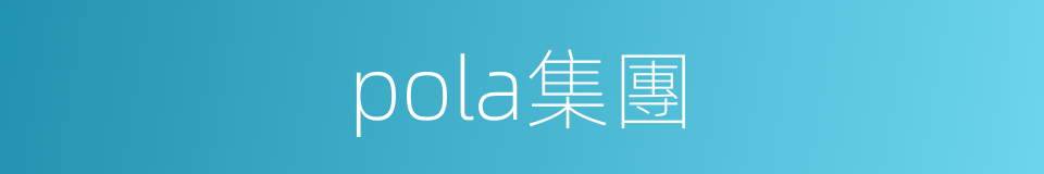 pola集團的同義詞