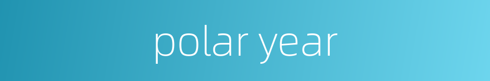 polar year的同义词