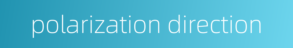 polarization direction的同义词