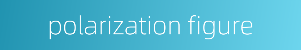 polarization figure的同义词