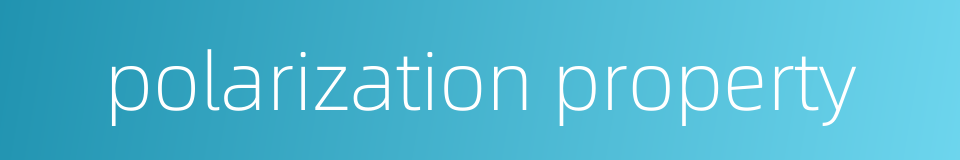 polarization property的同义词