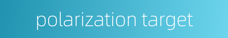 polarization target的同义词