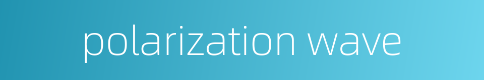 polarization wave的同义词
