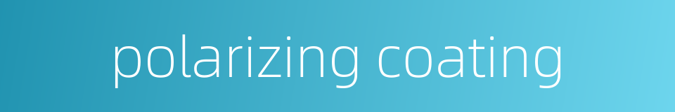 polarizing coating的同义词